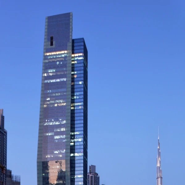Vision Tower